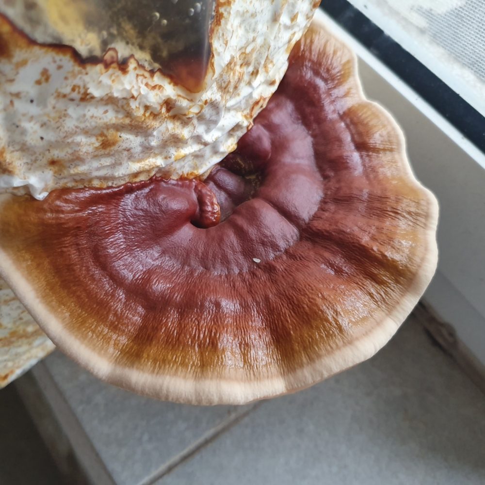 279300054_1235394583533785_6652548041715699746_n