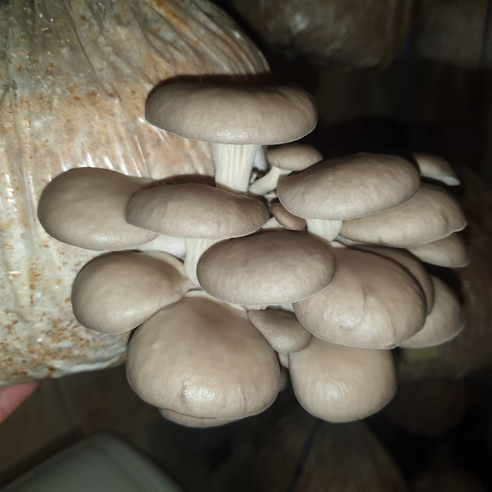 91282578_755486348191280_7264757063140507648_n