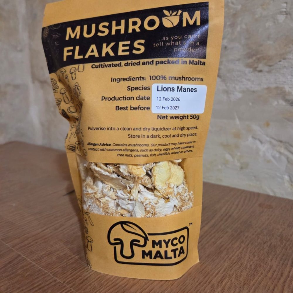 WhatsApp Image 2026-02-17 at 21.41.33