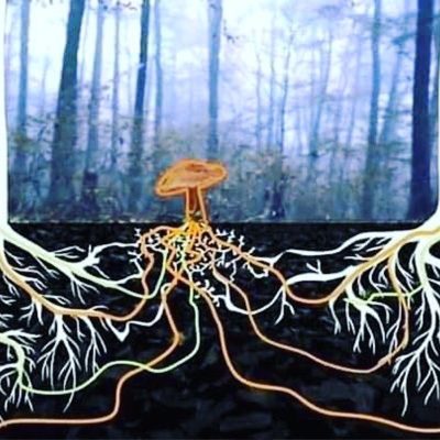 TreesMushroom