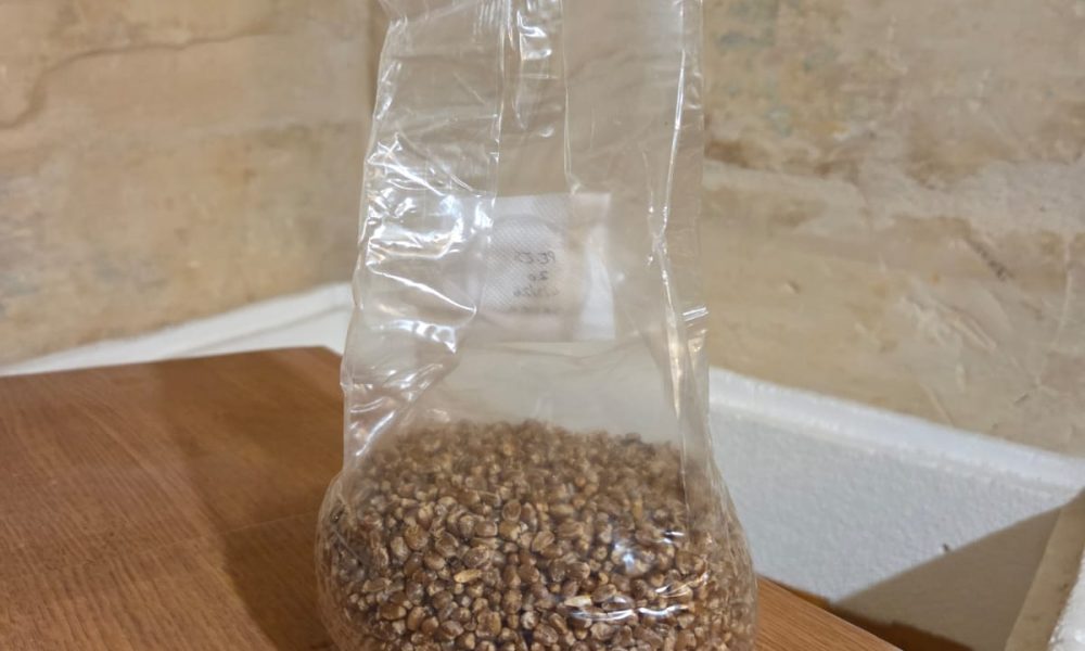 WhatsApp Image 2026-03-11 at 22.12.26